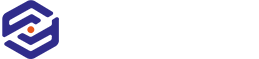 上海网络公司,齐天大圣,齐天大圣科技